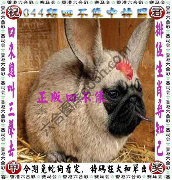 四不像中特图
