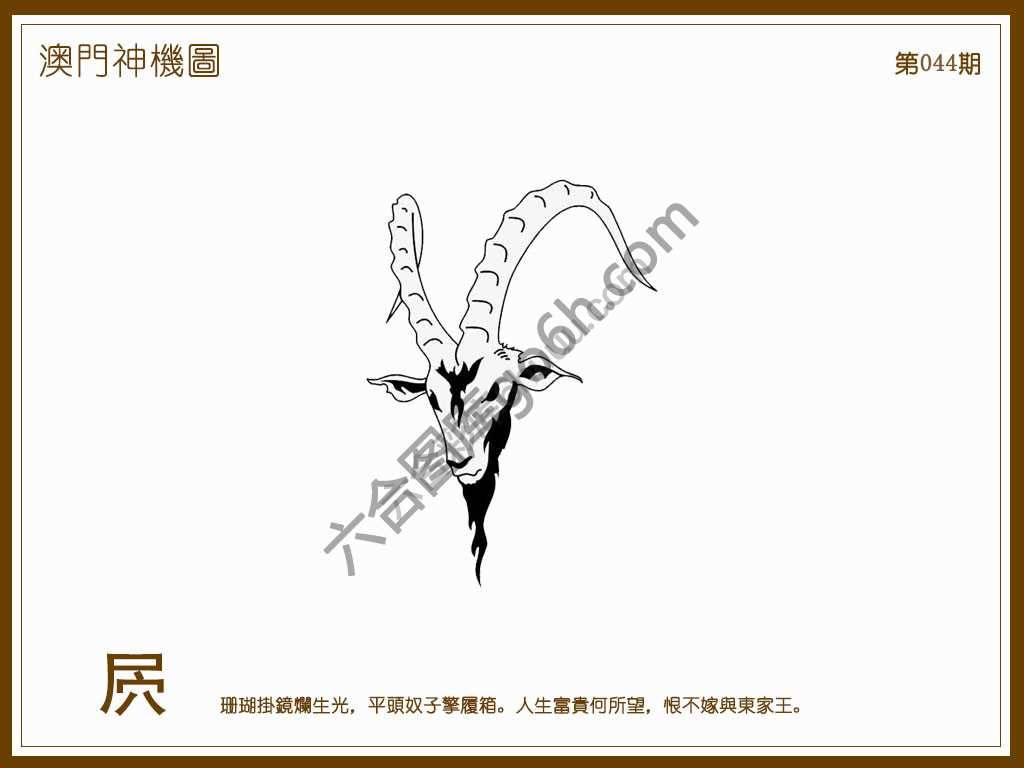 澳门神机图