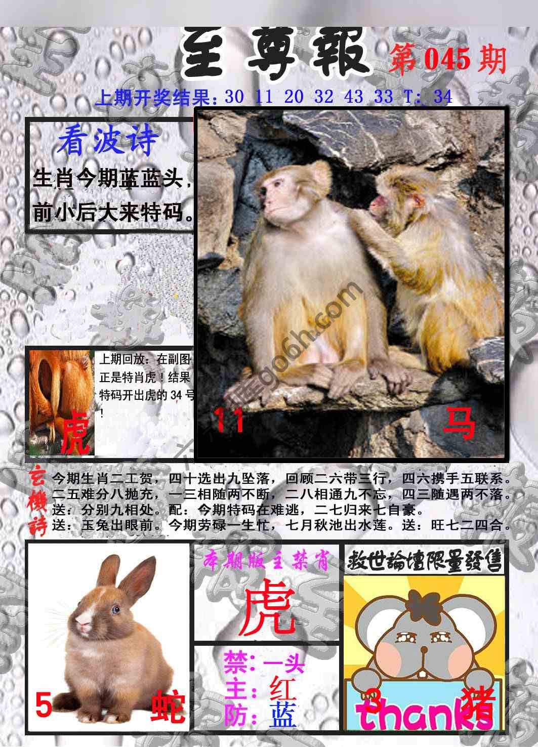 至尊报