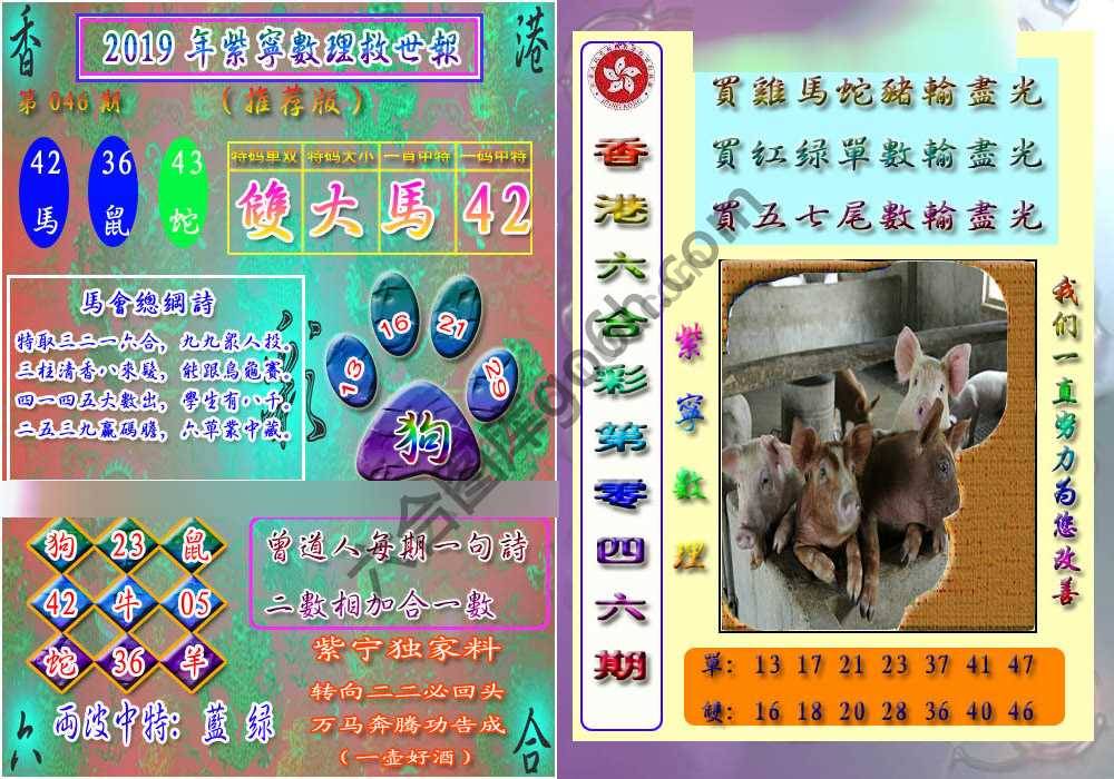 数理救世报