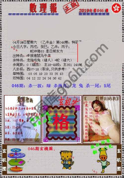 数理报