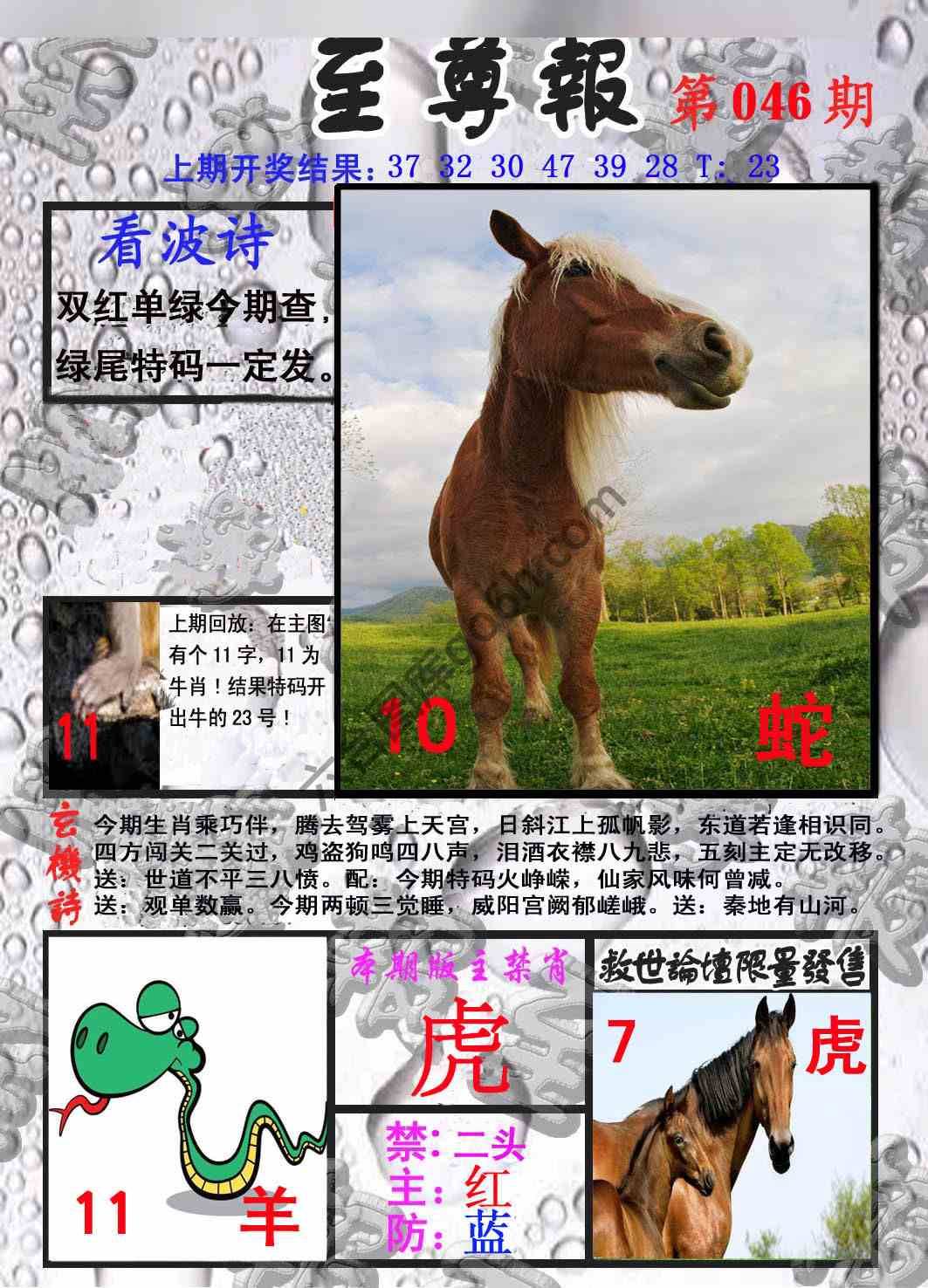至尊报