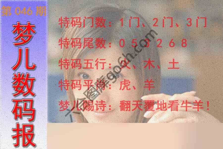 梦儿数码报