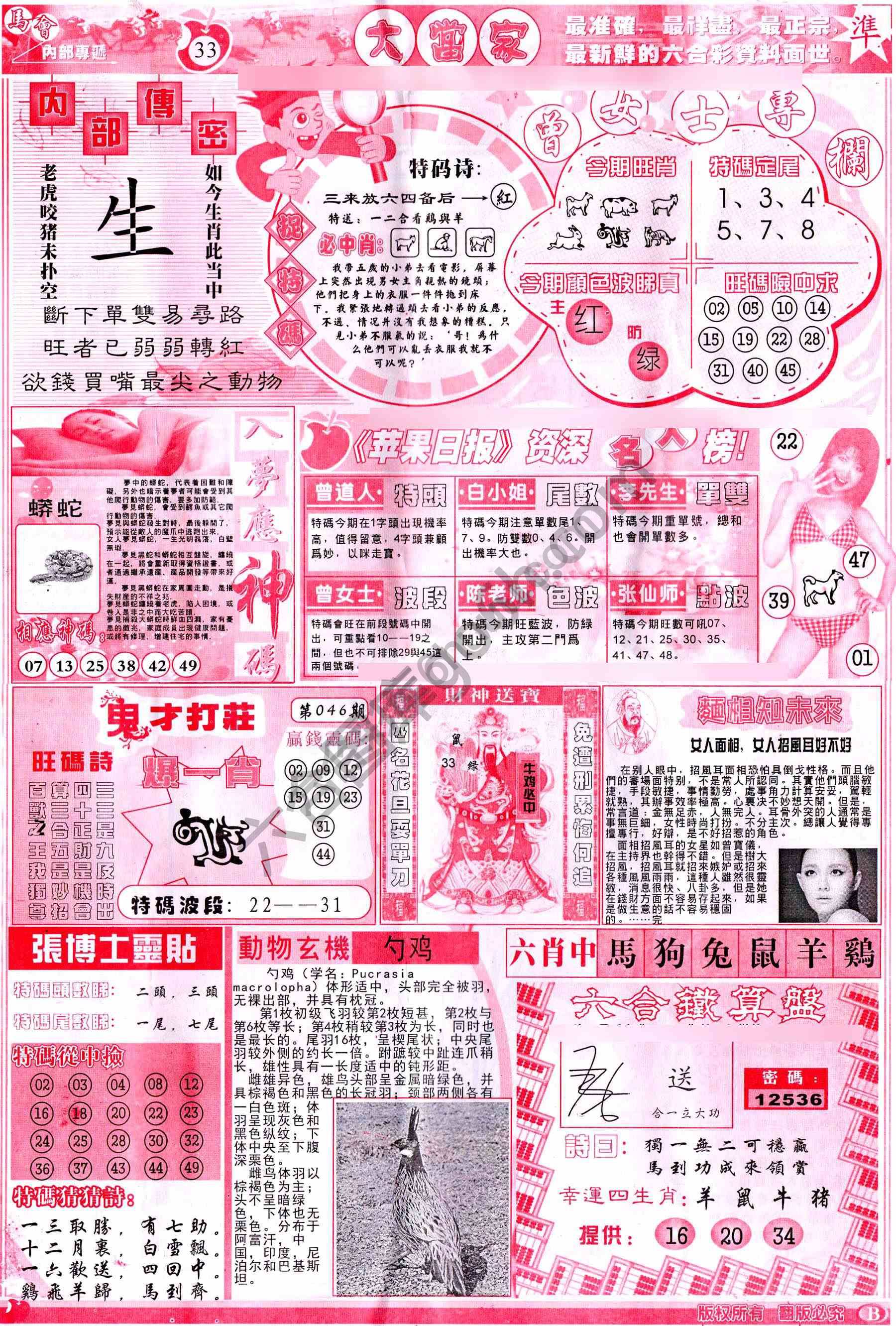 大当家