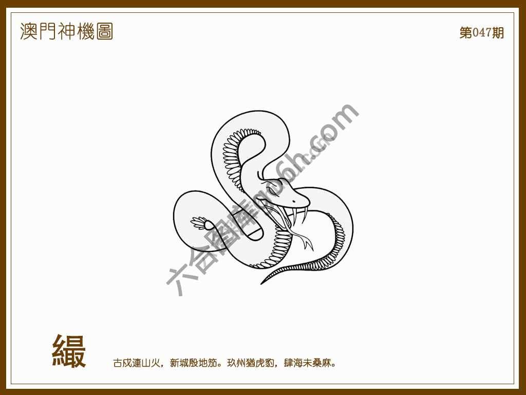 澳门神机图