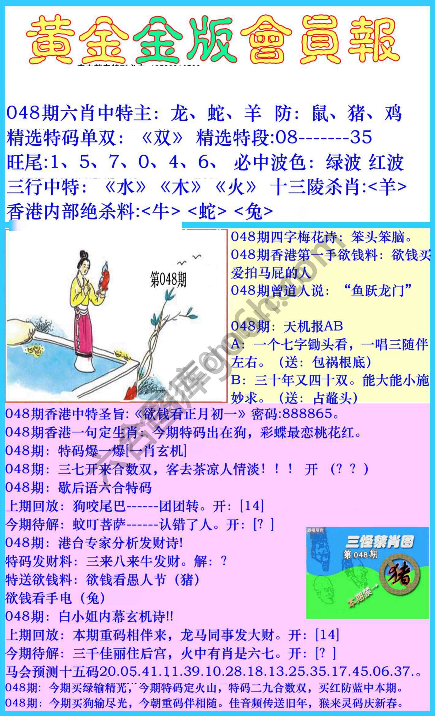 黄金金版会员报