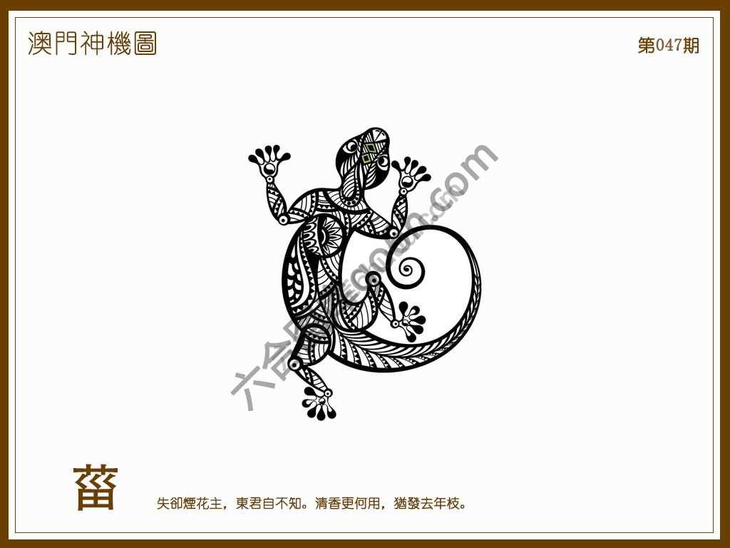 澳门神机图