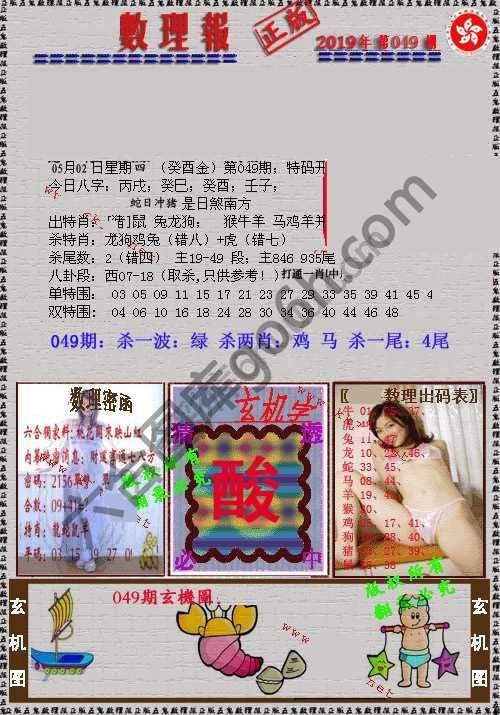 数理报