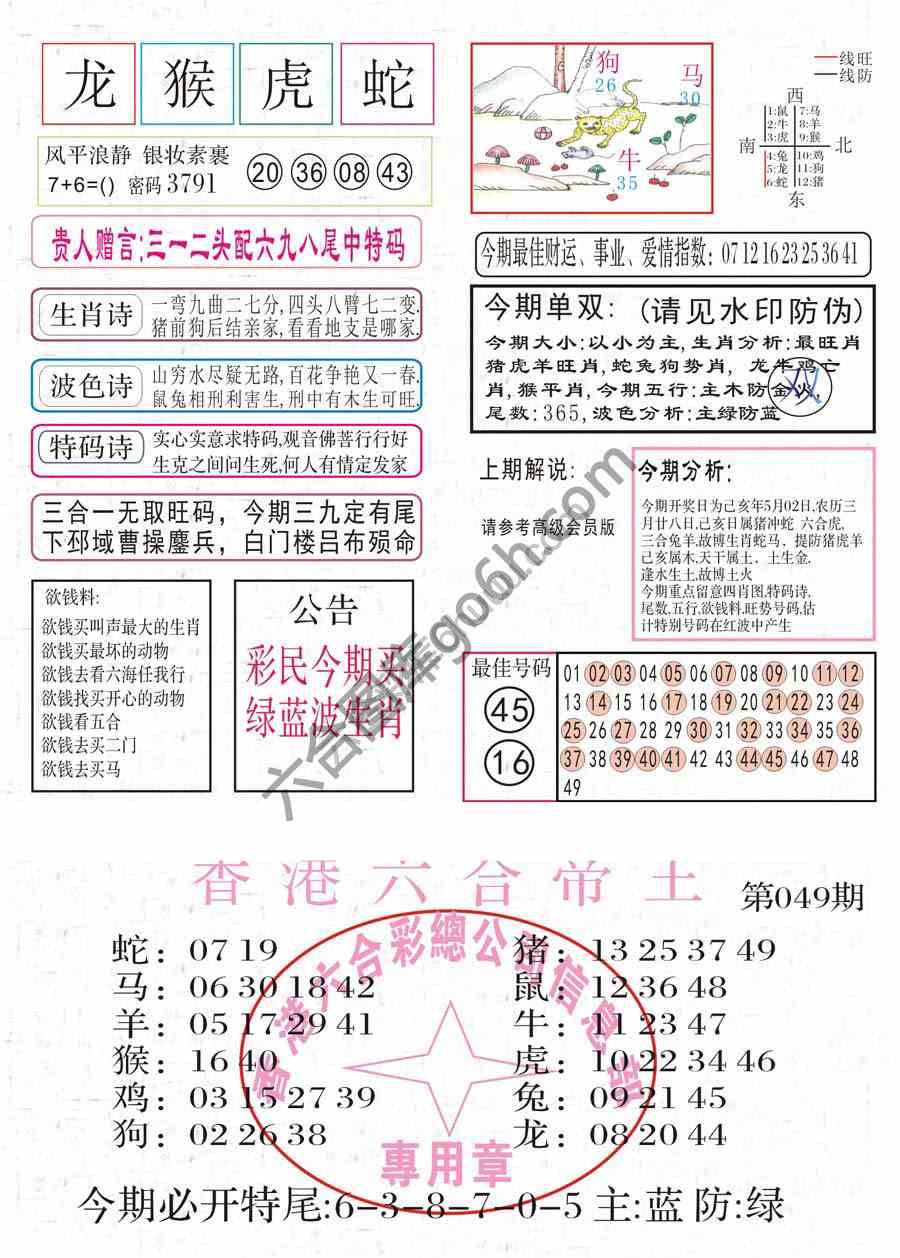 凤凰闲情