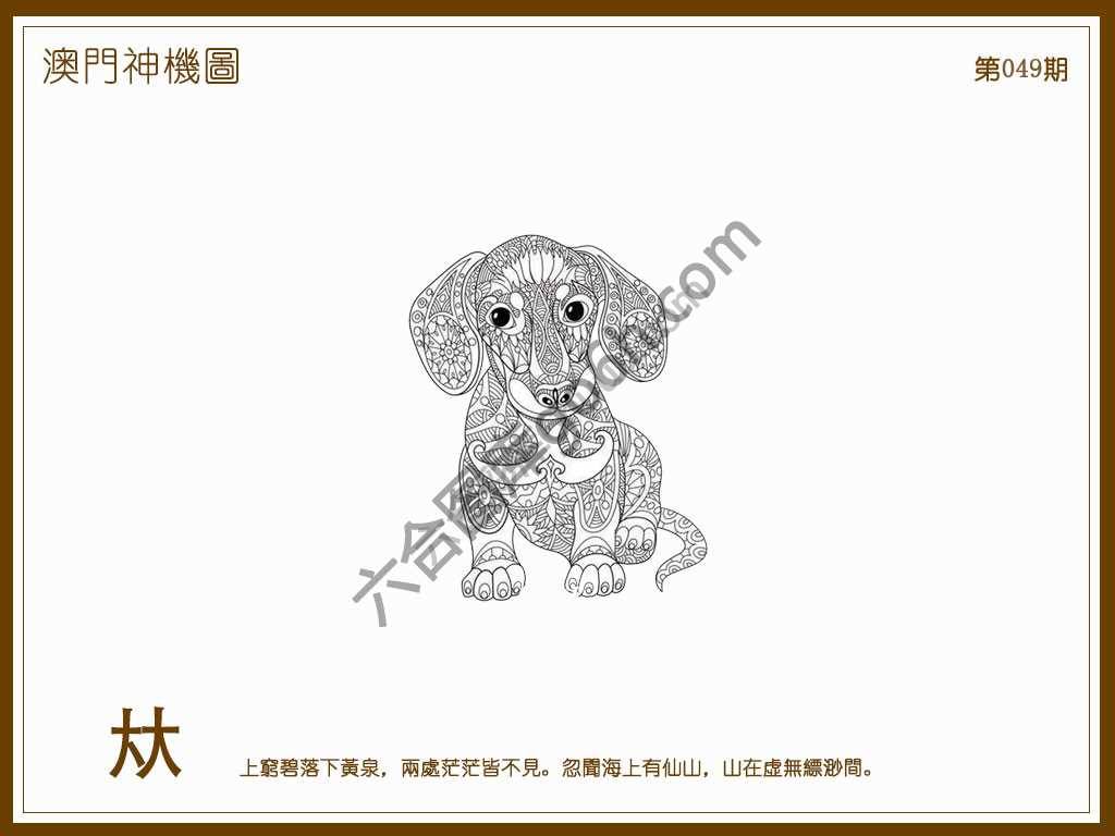 澳门神机图