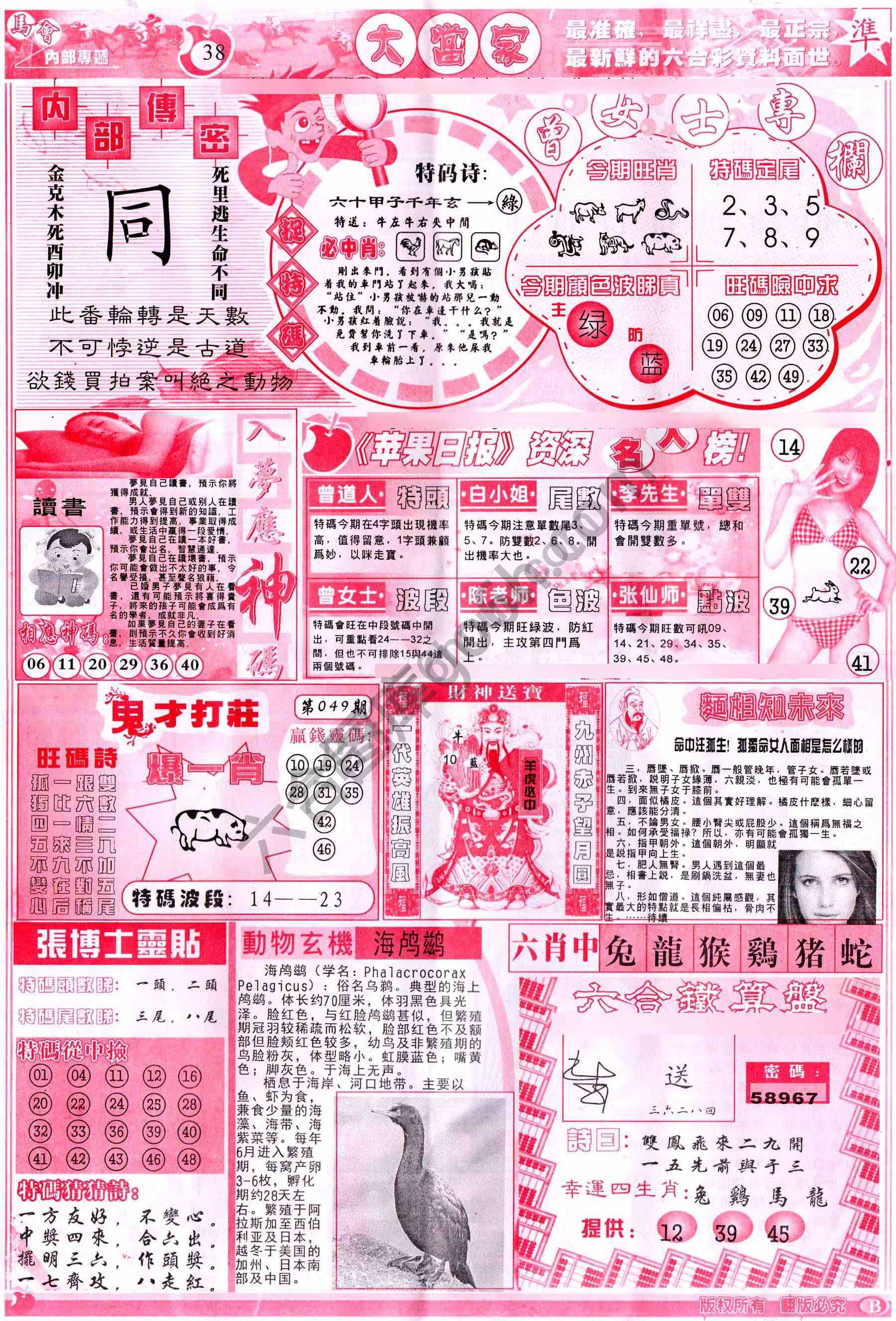 大当家