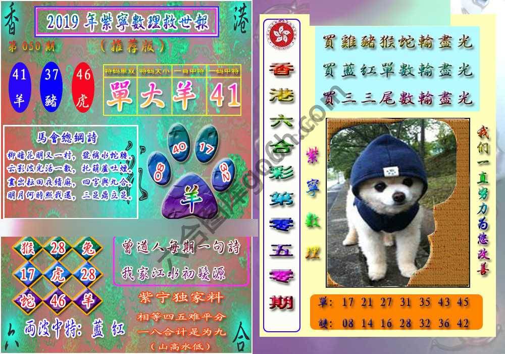 数理救世报