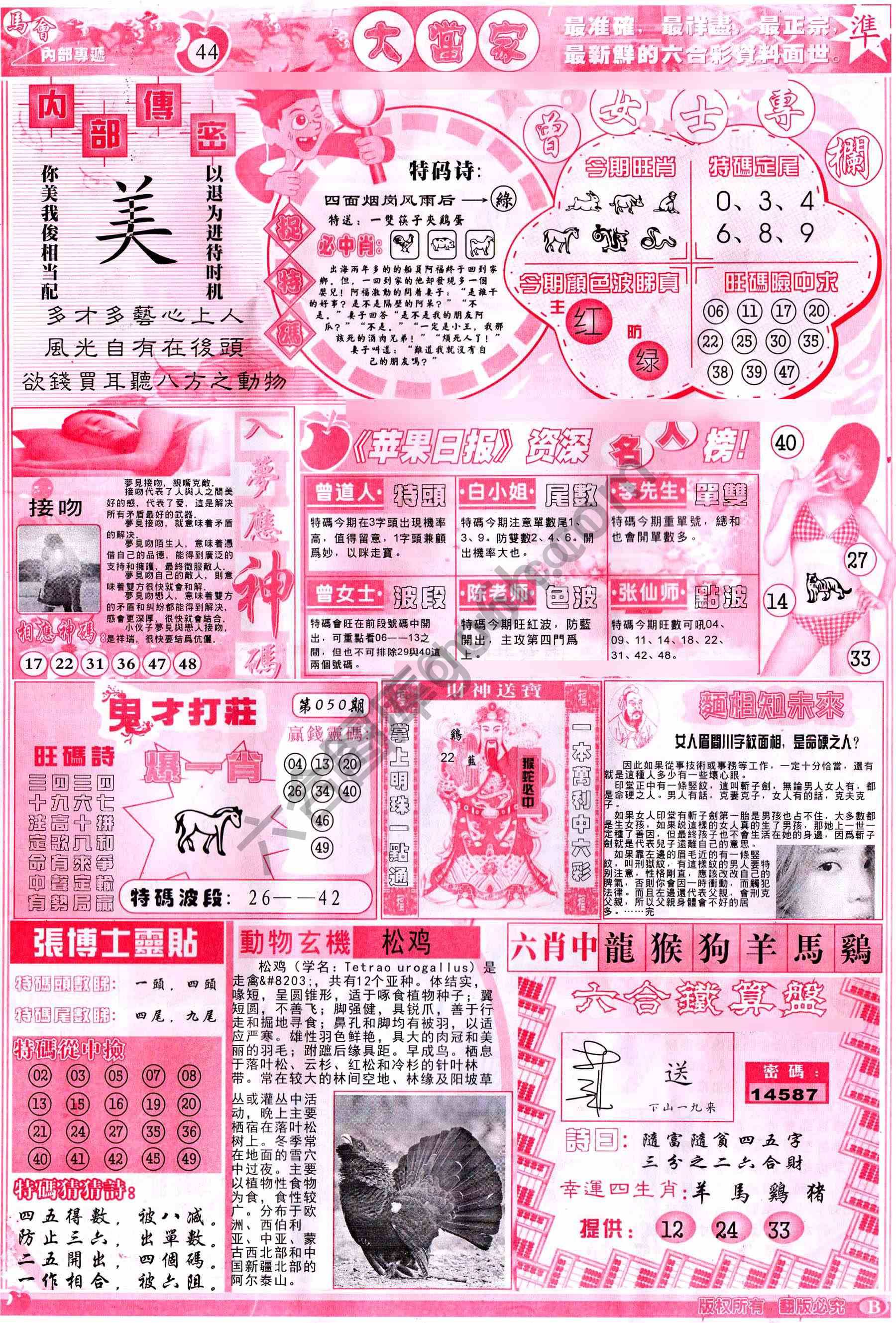 大当家
