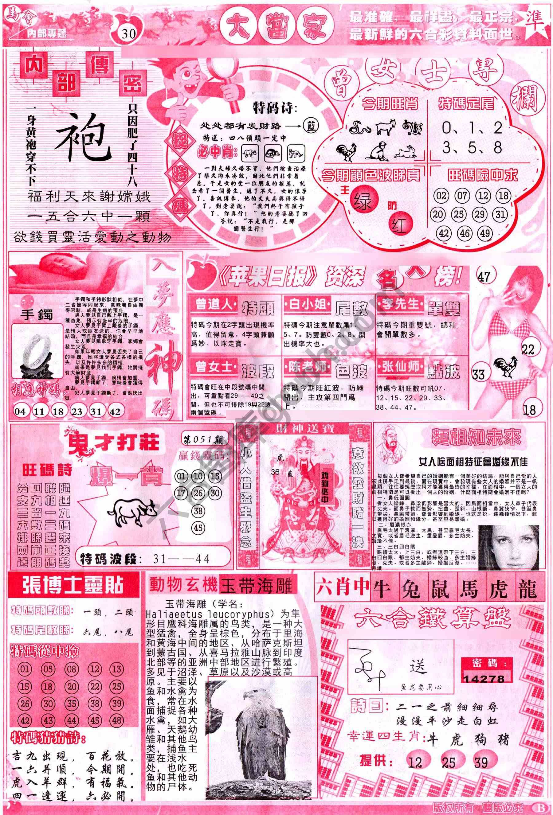 大当家
