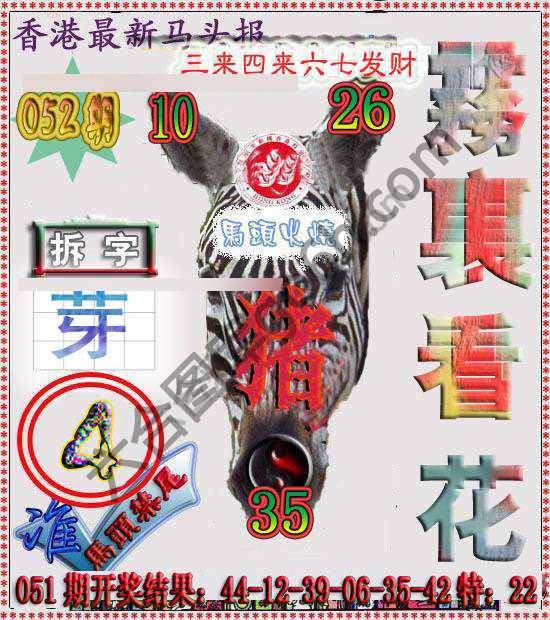 香港马头报