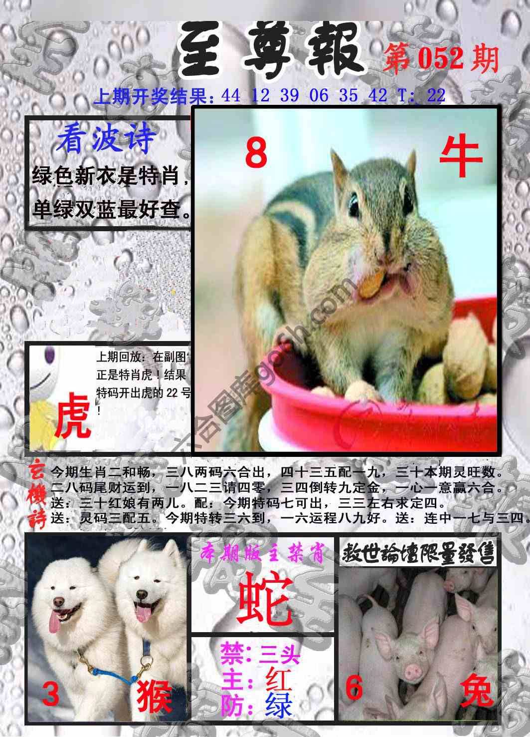 至尊报