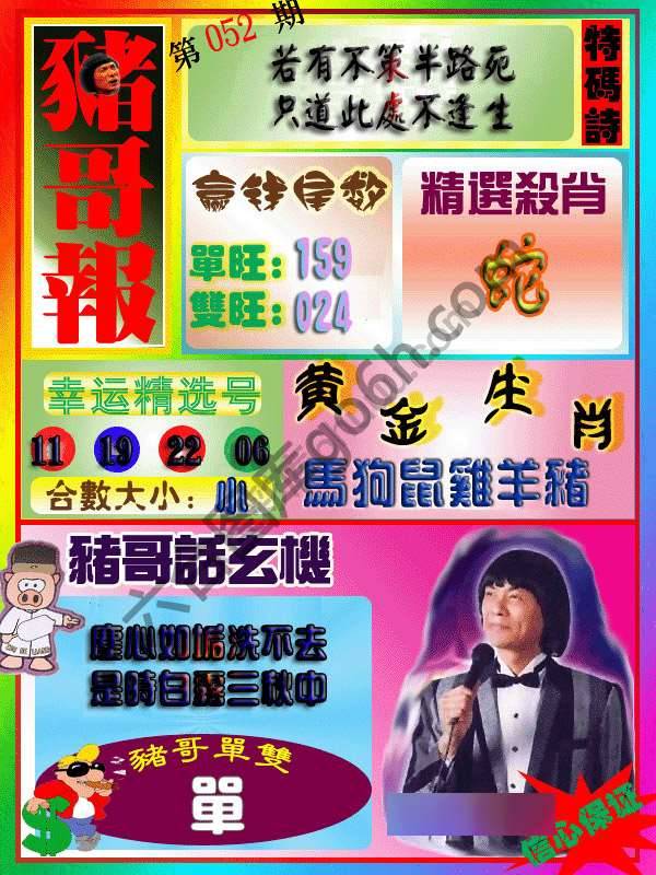 猪哥报