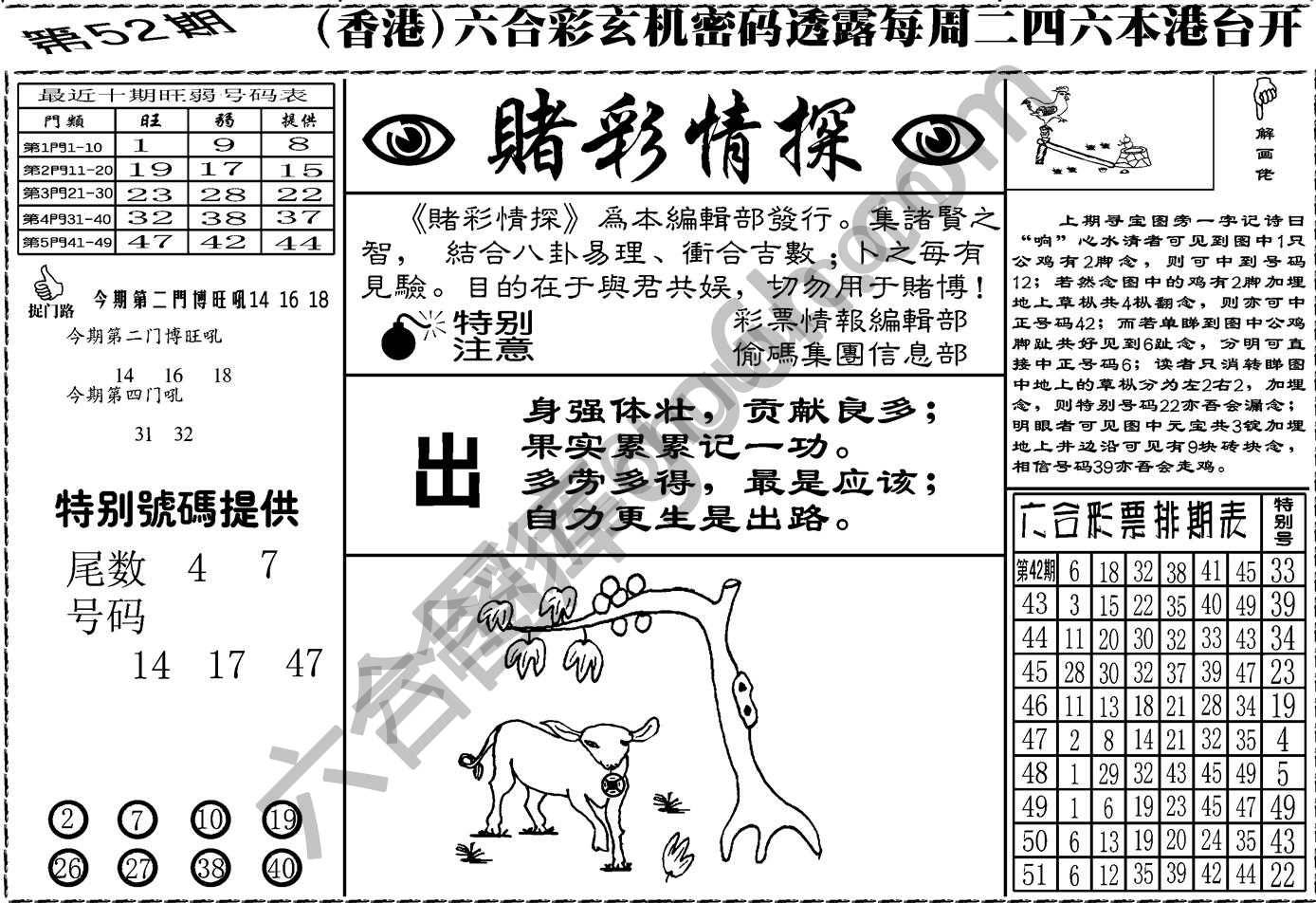 赌彩情探