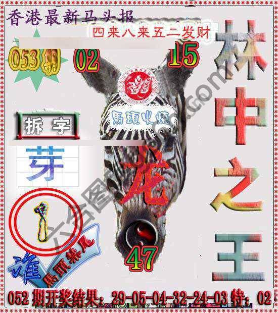 香港马头报