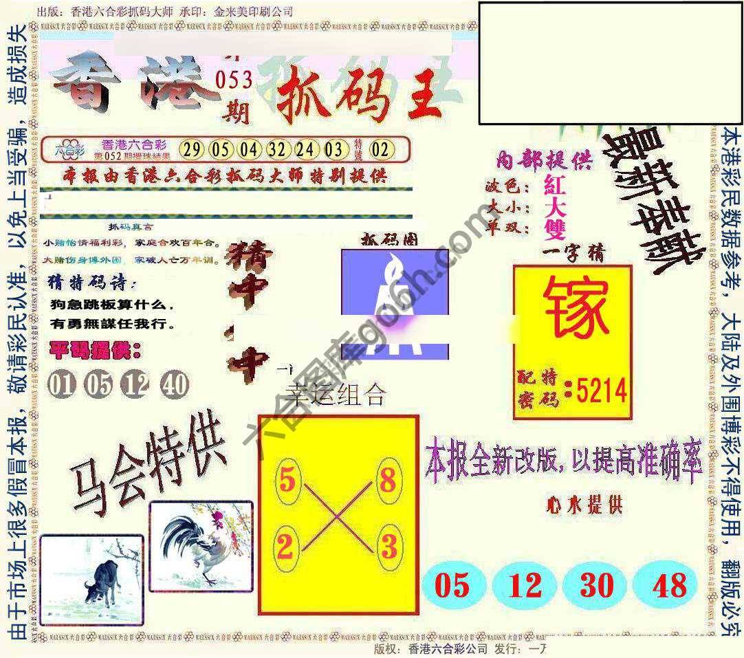 新抓码王