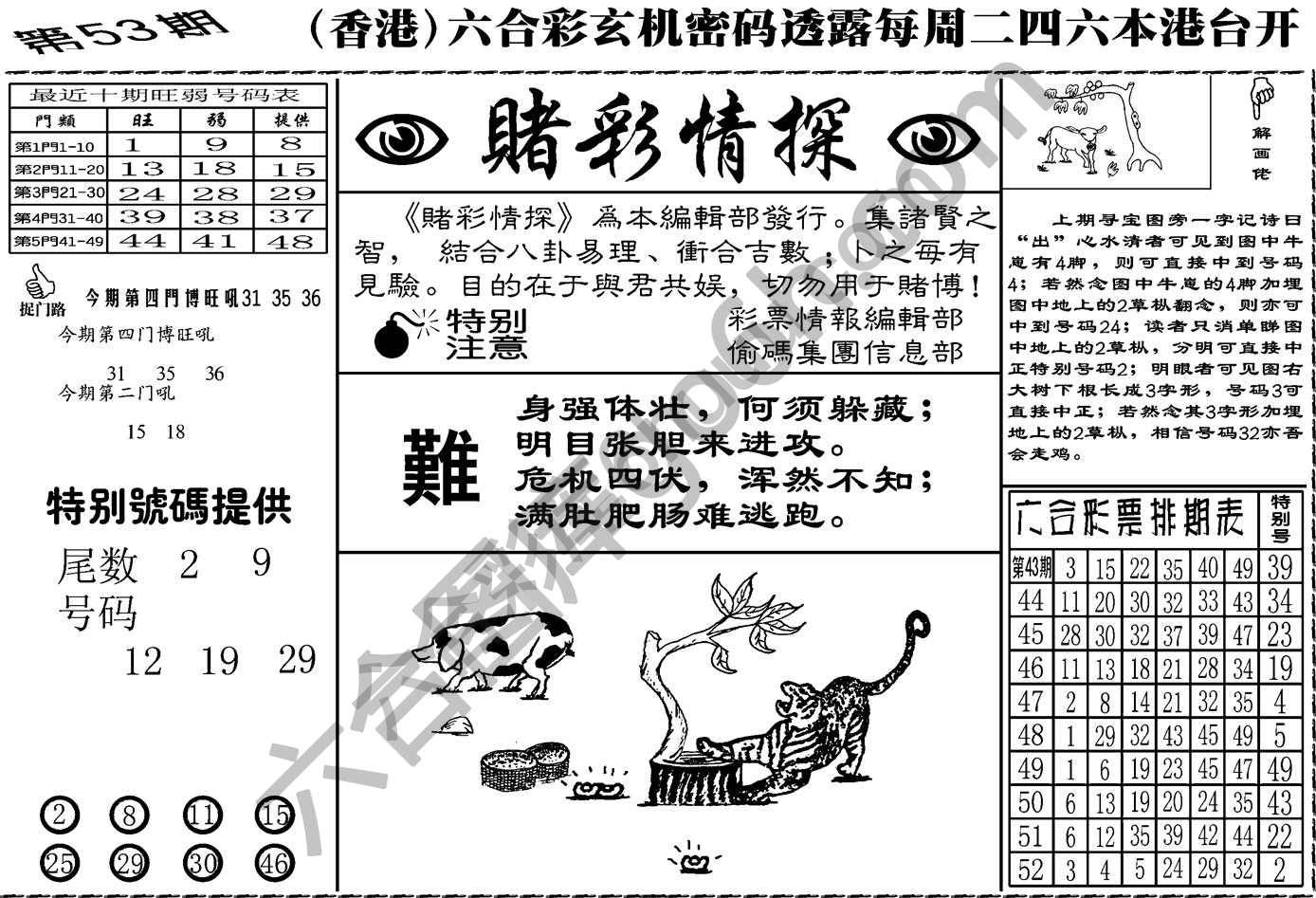 赌彩情探