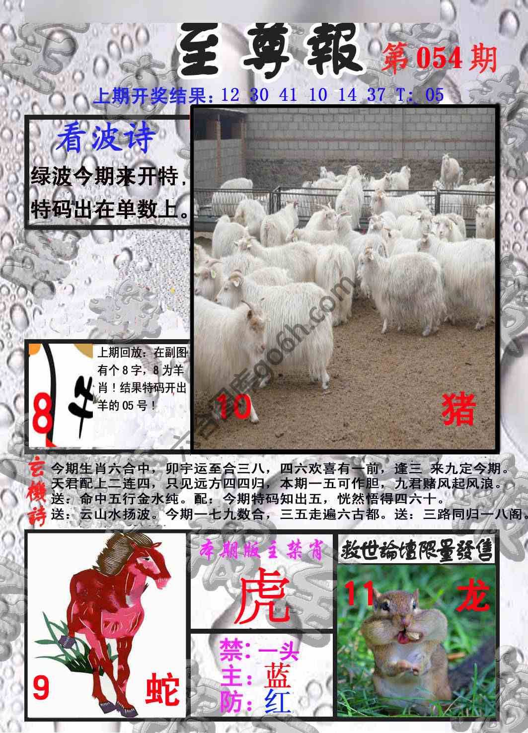 至尊报