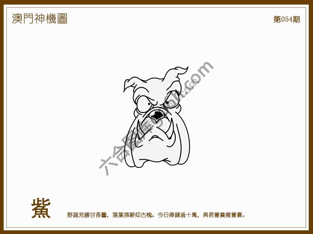 澳门神机图