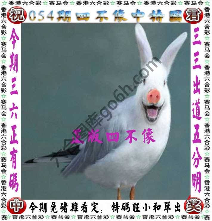 四不像中特图