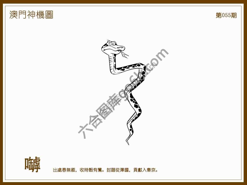 澳门神机图