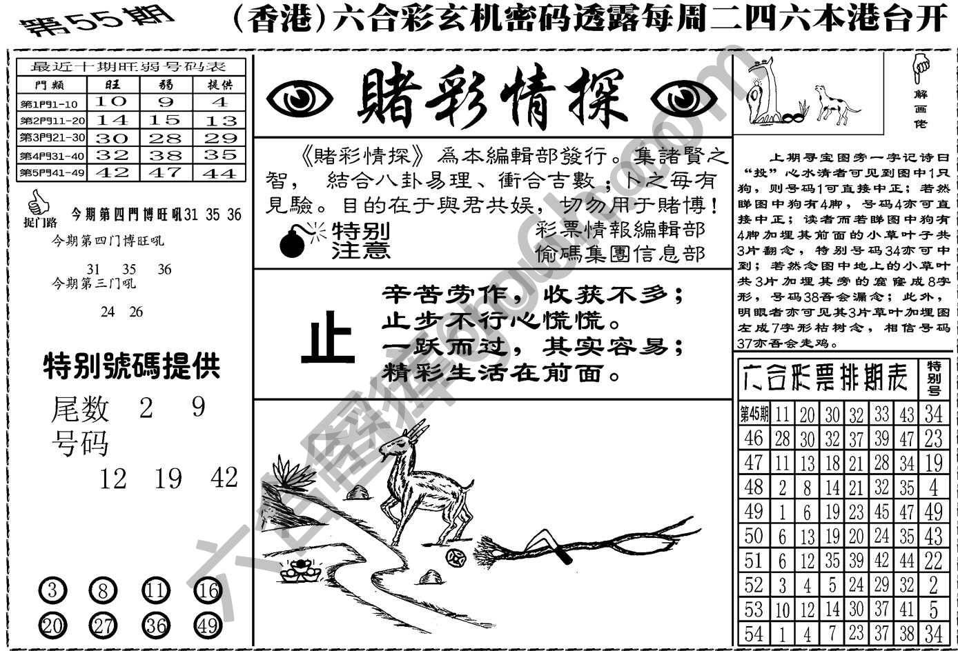 赌彩情探