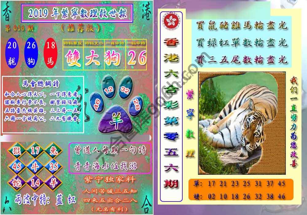 数理救世报