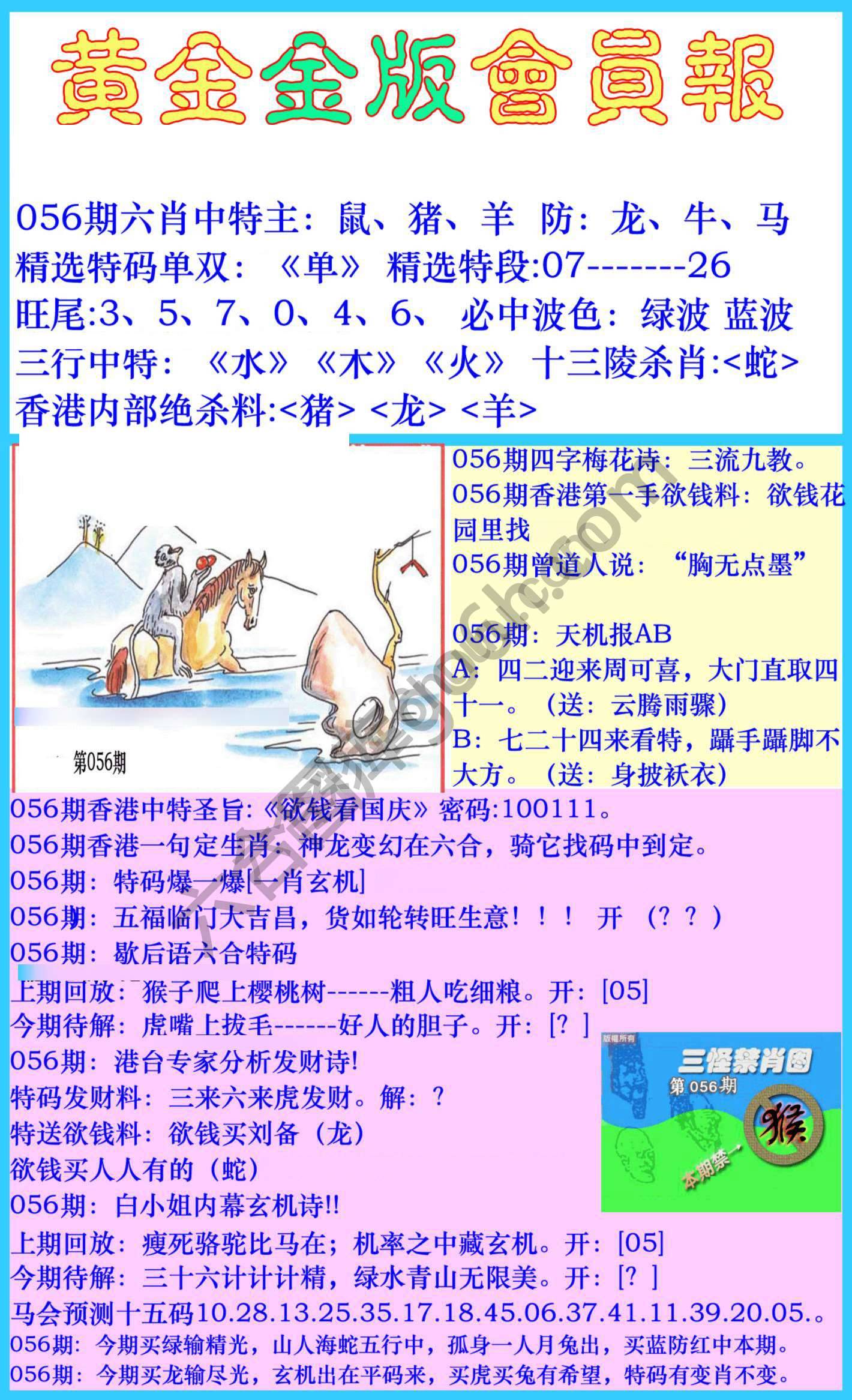 黄金金版会员报