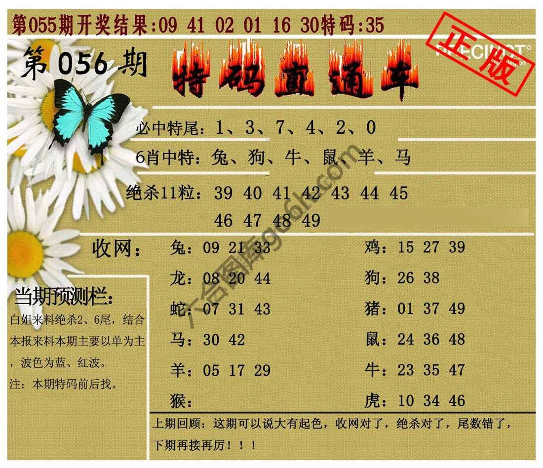 特码直通车
