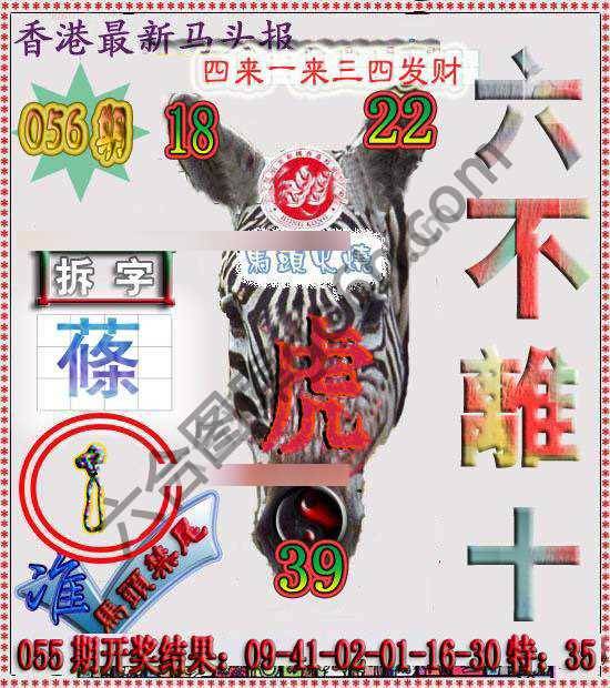 香港马头报