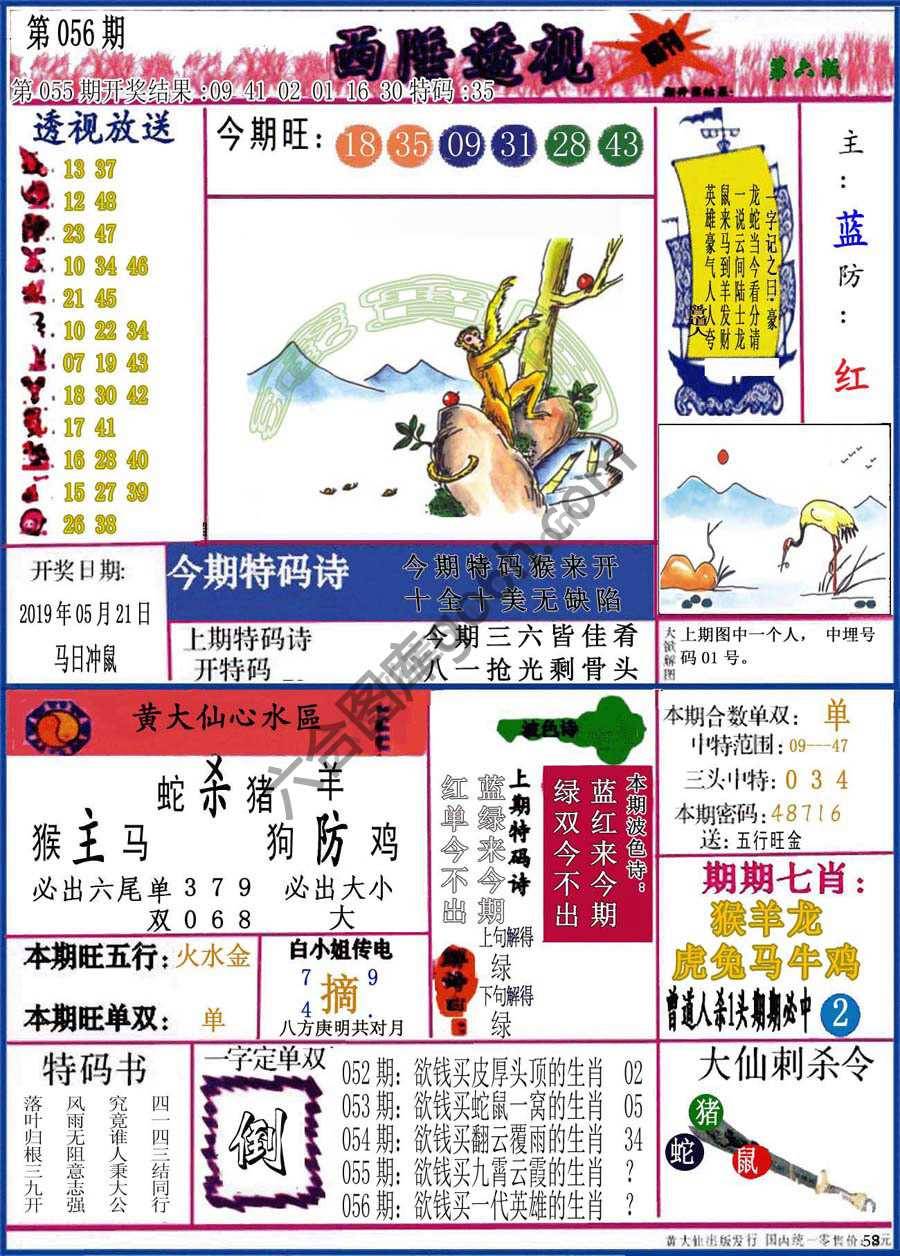 西陲透视（正版）