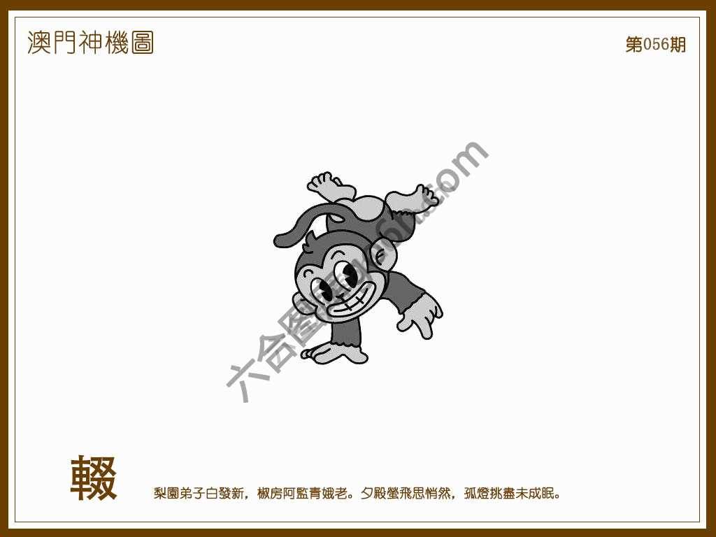 澳门神机图