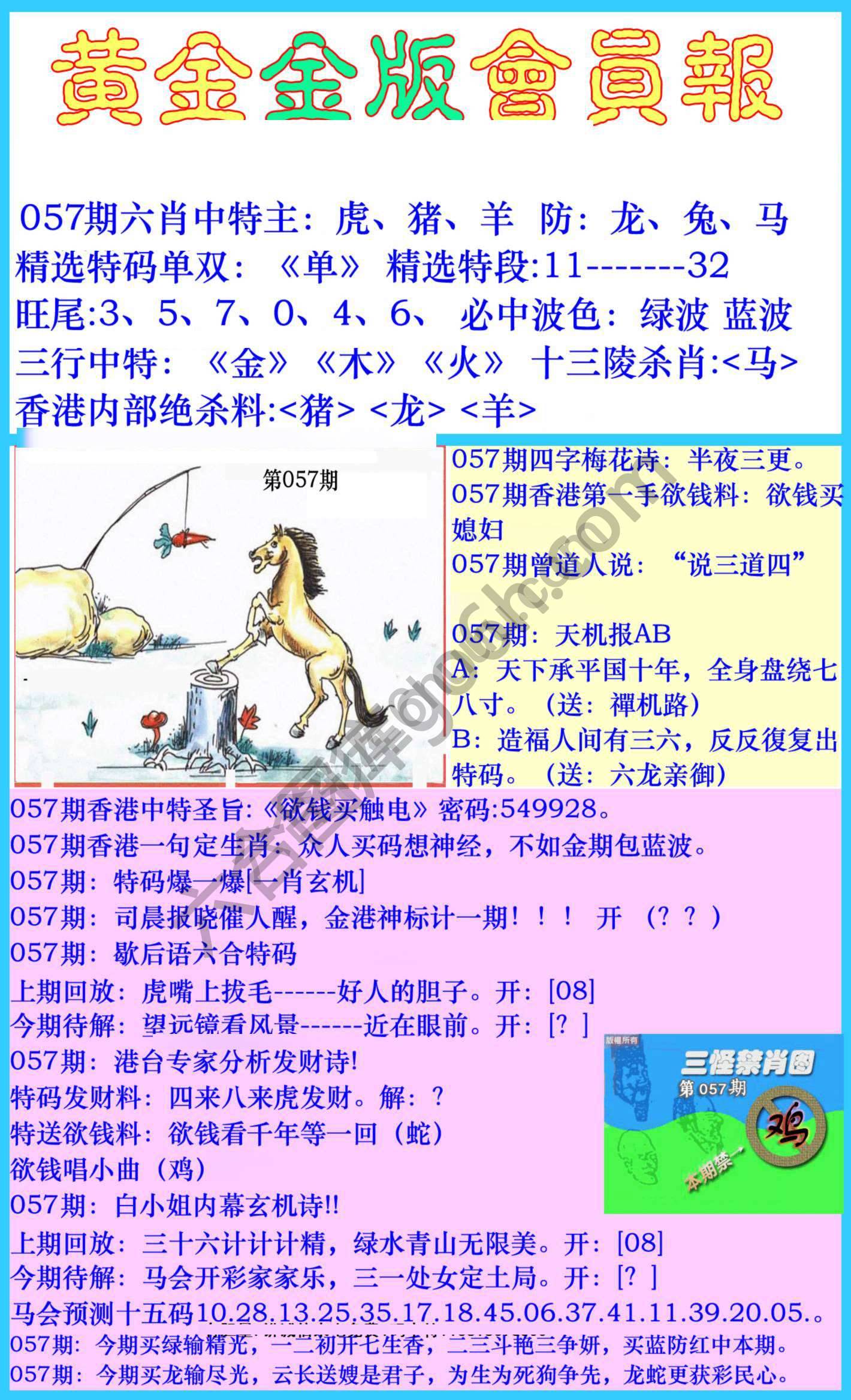 黄金金版会员报