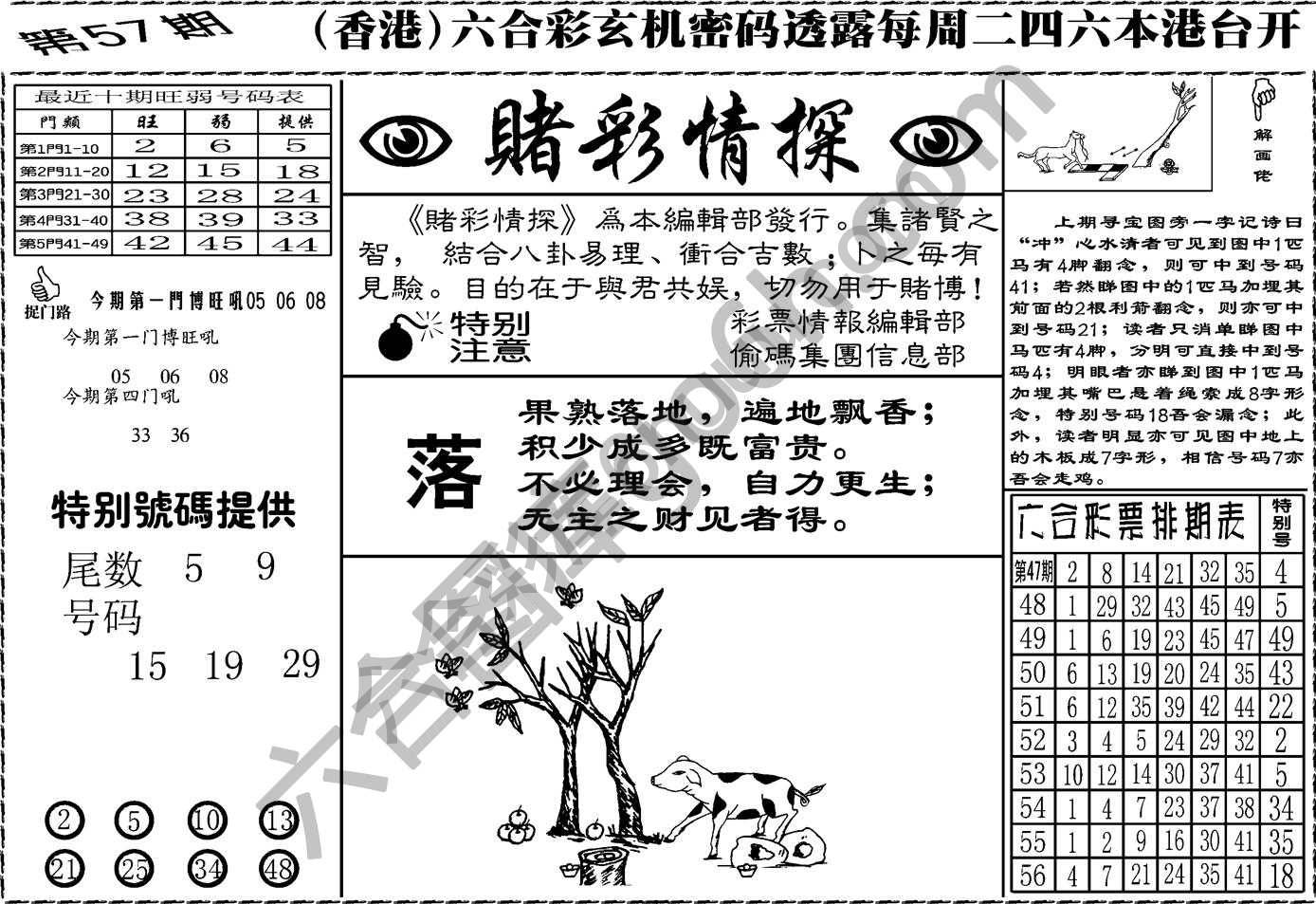 赌彩情探