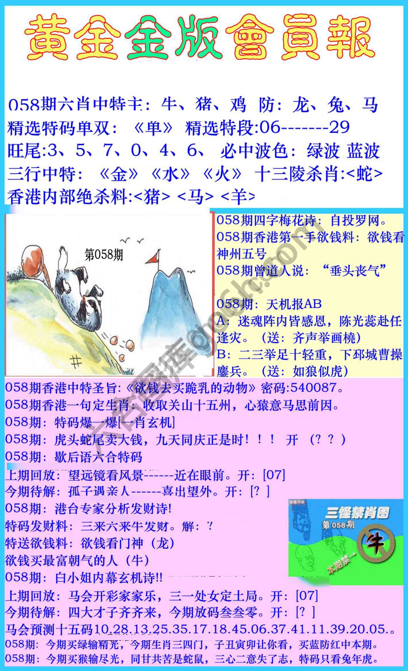 黄金金版会员报