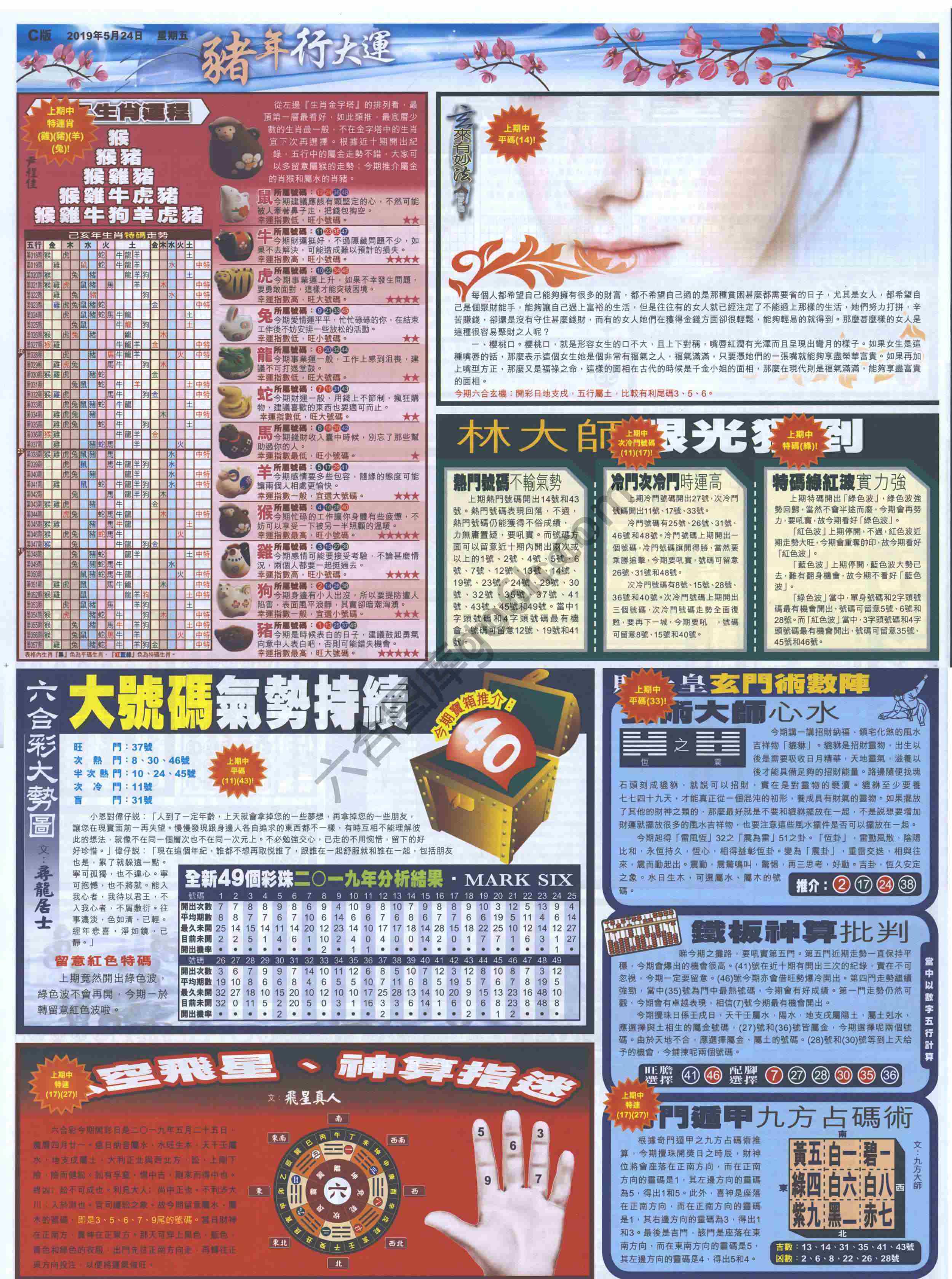 大版贴士皇