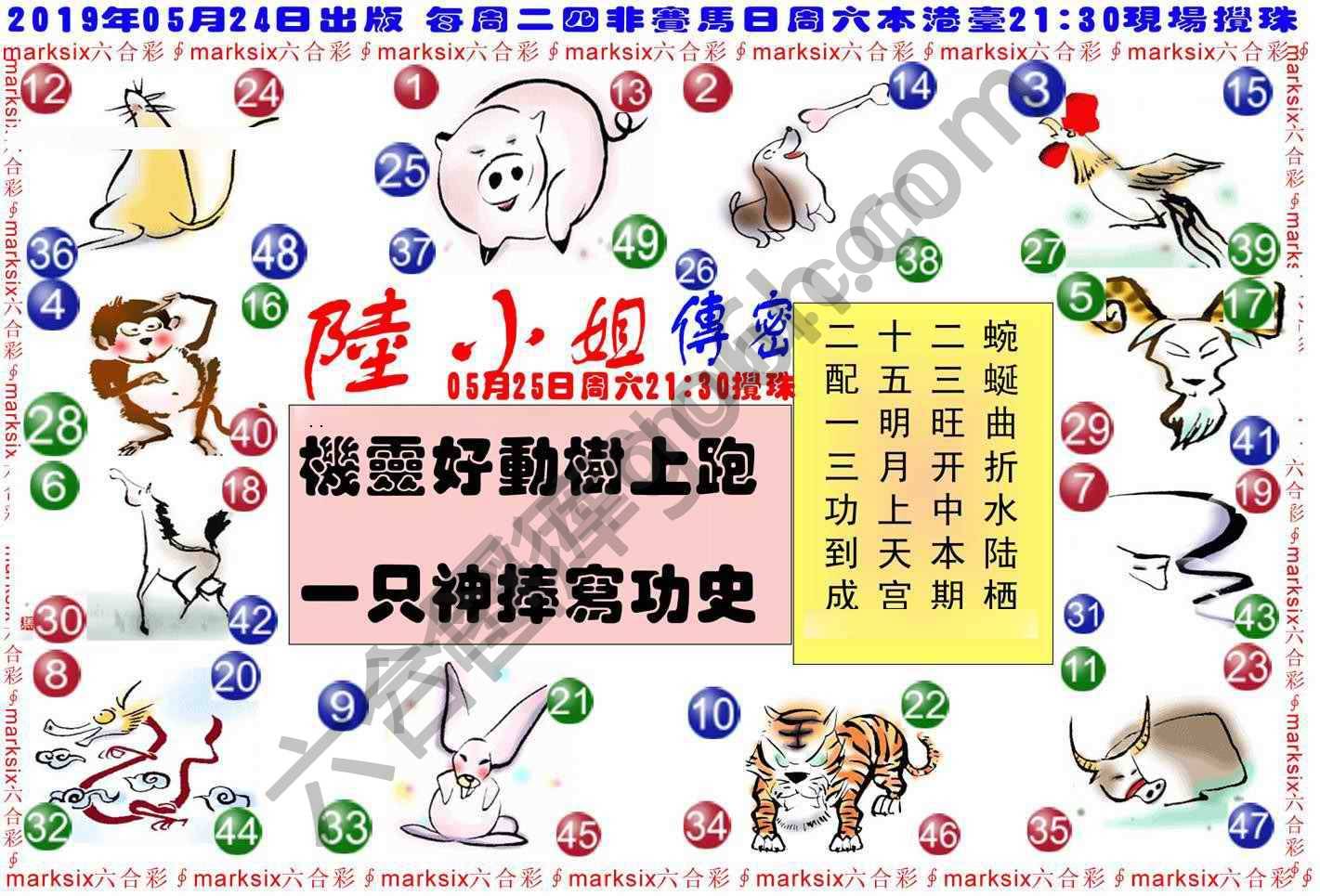 陆小姐传密