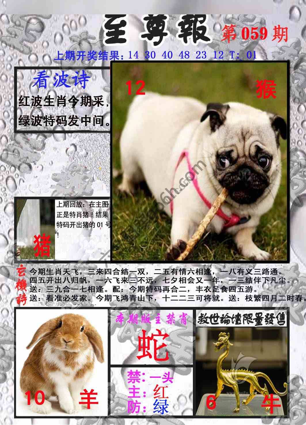 至尊报