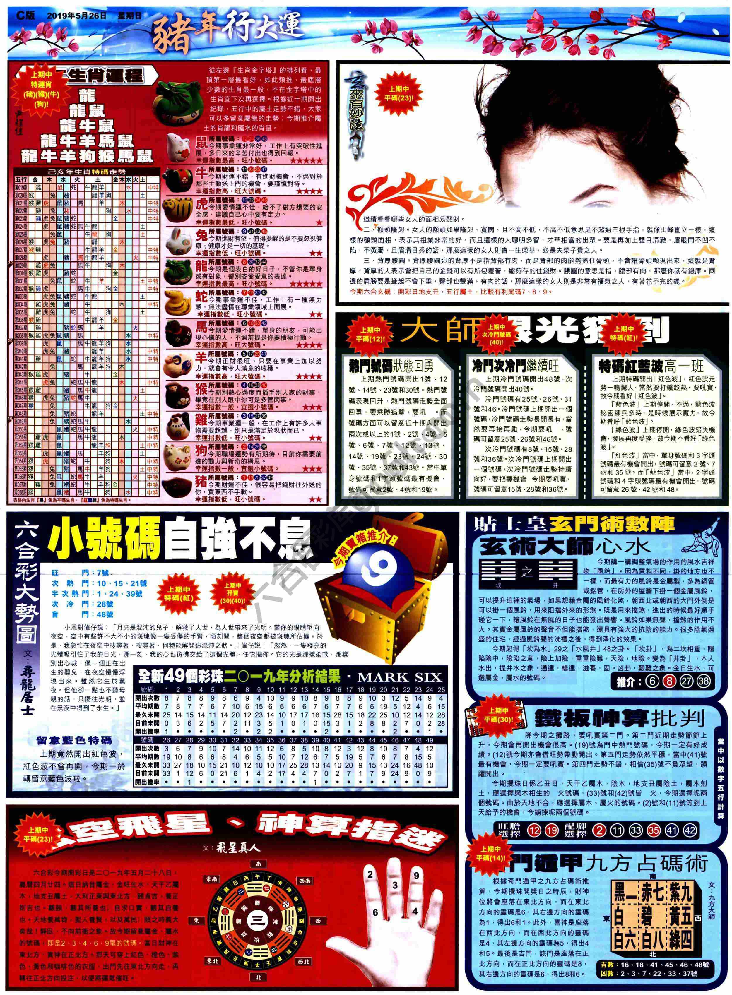 大版贴士皇