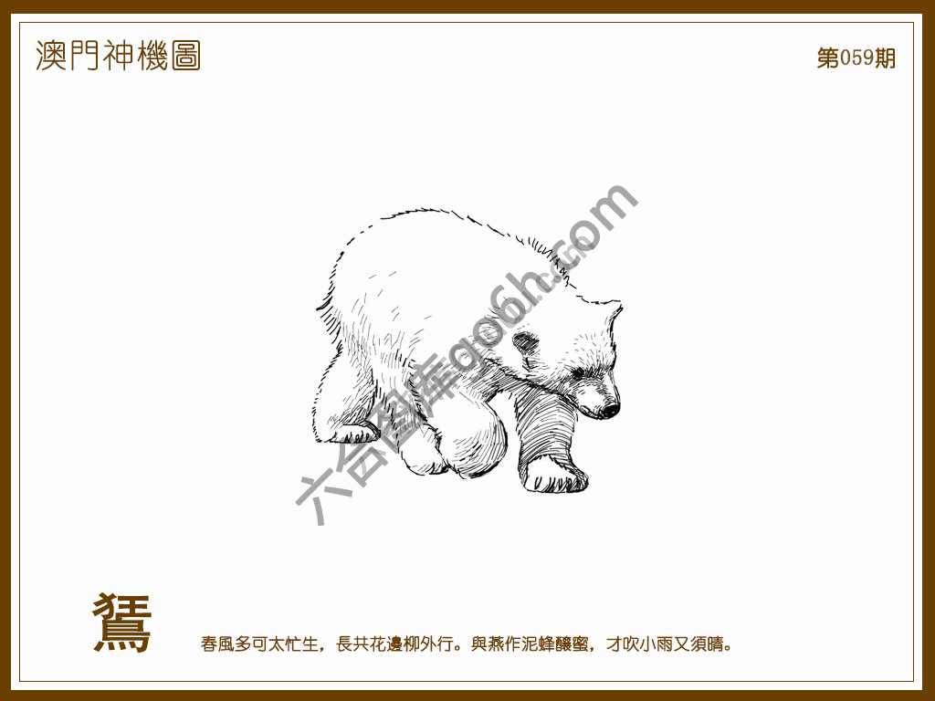 澳门神机图