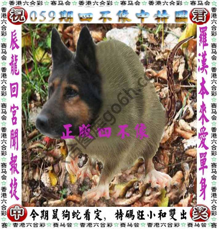 四不像中特图