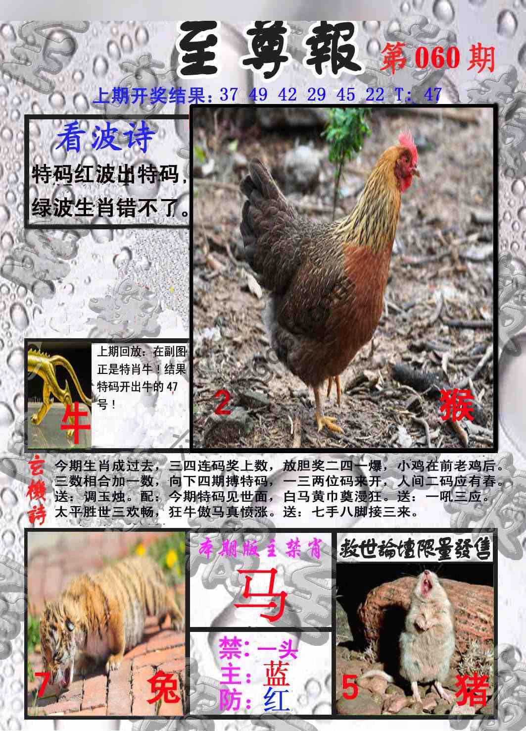 至尊报