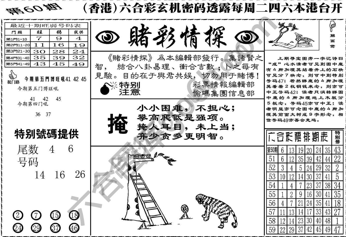 赌彩情探