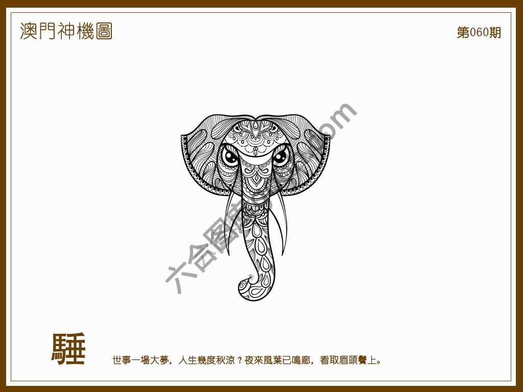 澳门神机图