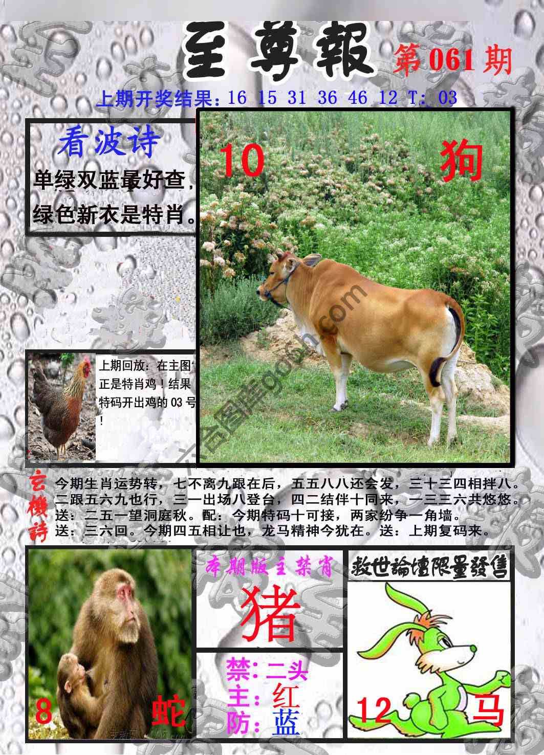 至尊报