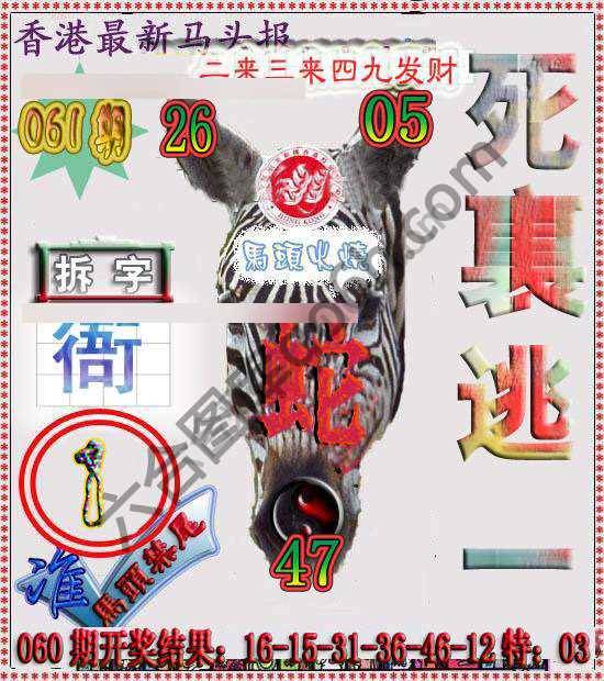 香港马头报